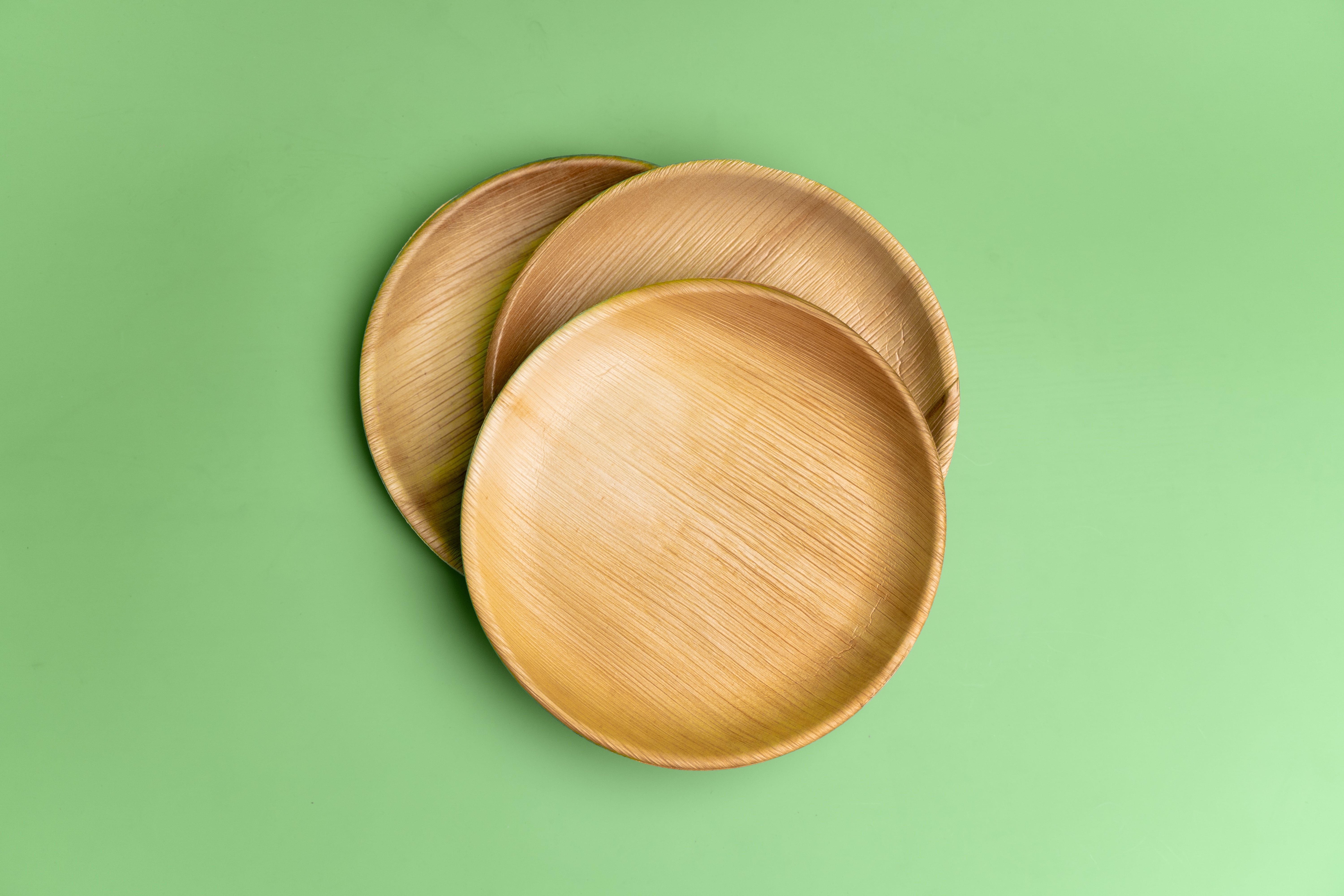 areca palm leaf plate 10-Inch Circular Areca Leaf Plate – Complete Meal Compostable Dinnerware – Leaf Plus US